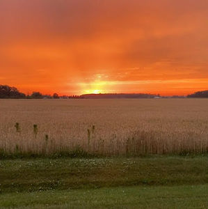 Meet your Posher, Ariana